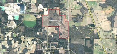 tbd N Golden Rd, Jacob City, FL 32431 - photo 2