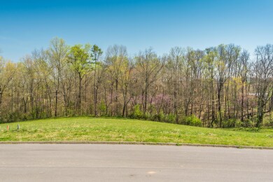 2110KingViewLoop-2