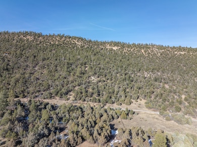 DJI_0828