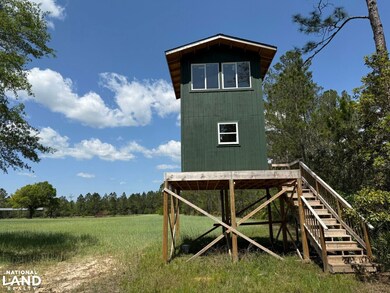 3362 Seed Orchard Rd, Nahunta, GA 31553 - photo 5