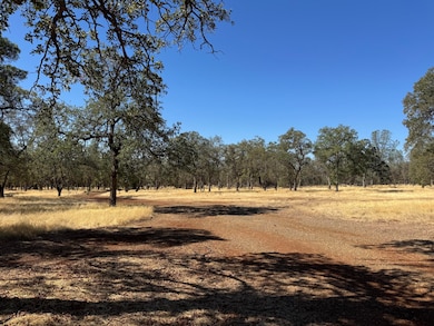 26612 Scharsch Rd, Shingletown, CA 96088 - photo 7