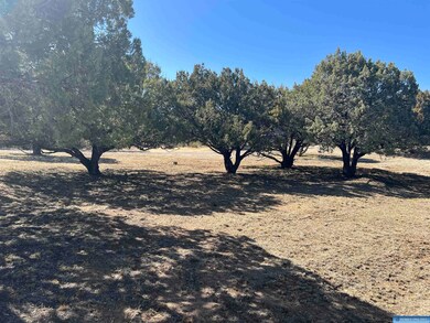 25 Antelope Run unit 1, Silver City, NM 88061 - photo 5