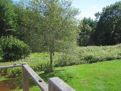 Yard/Garden.