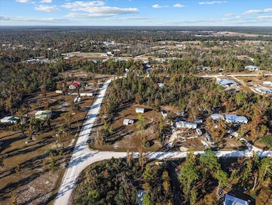 2660 Black Oak Rd, Keaton Beach, FL 32348 - photo 3