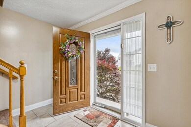 06-737-Dewars-St-Howell-MI-48843-WindowS