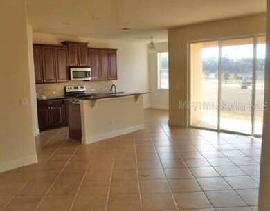 30011 Willow Trace, Mount Dora, FL 32757 - photo 5