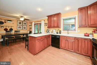 11525 Pine Cone Ct, Reston, VA 20191 - photo 4