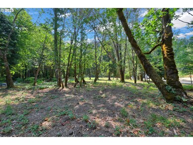 0 Westfir-Oakridge Rd unit 141779874, Westfir, OR 97492 - photo 7