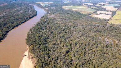 0 Gray's Landing Rd unit 10647341, Uvalda, GA 30473 - photo 3