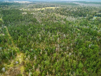 0 Woods Rd unit SWL25102309, Other City, LA 70668 - photo 4