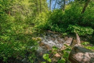 Corral Creek