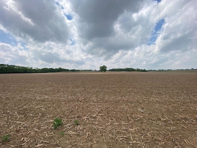 81.5 Acres Road View 1