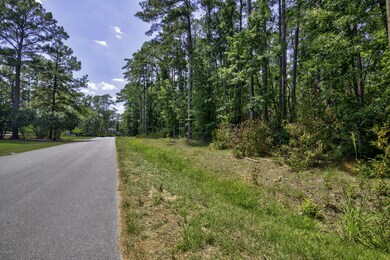 Lot 4 Greenway Dr, Jacksonville, NC 28546 - photo 3