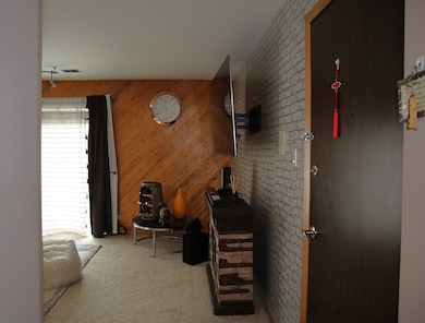 4829 W 109th St unit 203, Oak Lawn, IL 60453 - photo 5