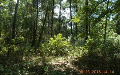 TDB 274th St, Branford, FL 32008 - photo 4