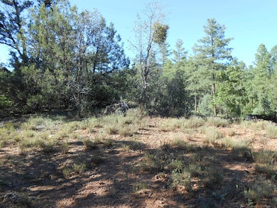 389 W Apache Trail, Pine, AZ 85544 - photo 2