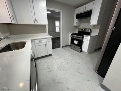 1171 Pennfield Rd, Cleveland, OH 44121 - photo 6