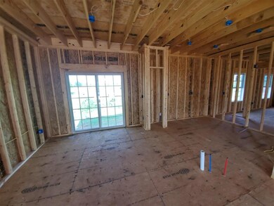 Current pics as of 7/7/2020
