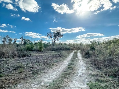 323 SW Blast Ct, Fort White, FL 32038 - photo 3