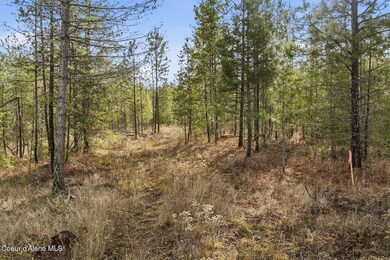 Lot 3 Poulton Way, Bonners Ferry, ID 83805 - photo 4