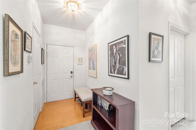 16410 Redstone Mountain Ln, Charlotte, NC 28277 - photo 4