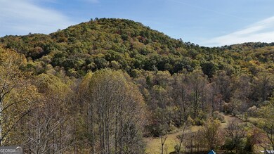 3590 Goshen Creek Rd, Clarkesville, GA 30523 - photo 3