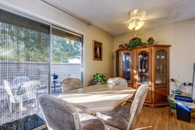 Teakwood - 9804 (21)