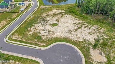 30 Dragonfly Ln, Hampstead, NC 28443 - photo 4