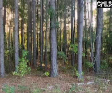 35 Simmons Dr, Camden, SC 29020 - photo 4