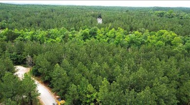 25 Mission Fig Trail, Broken Bow, OK 74728 - photo 5