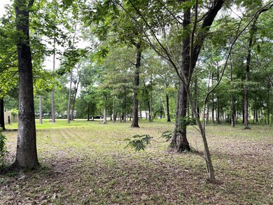 0 County Road 3750 N, Cleveland, TX 77328 - photo 7