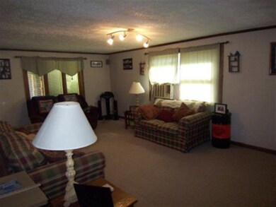 325 E Sycamore St, Attica, IN 47918 - photo 2