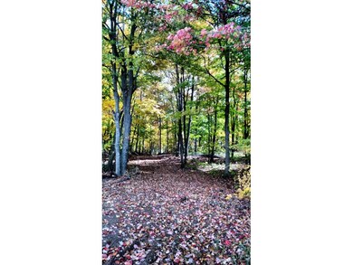 Beautiful Hardwood Trees
