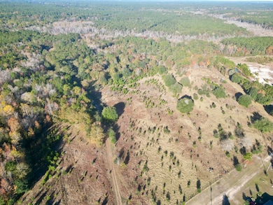 00 Virginia Rd, Dorchester, SC 29437 - photo 3