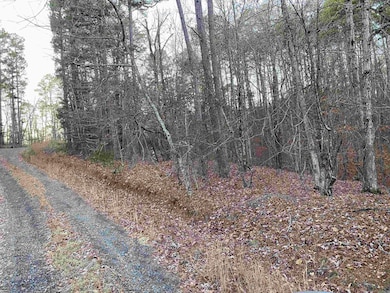 16.61 Acres Mountain Park Rd, Shirley, AR 72153 - photo 7