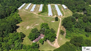 156 Jake Frost Rd, Downsville, LA 71234 - photo 5