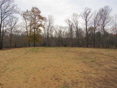 0 Whiteoak Rd E, Clifton, TN 38425 - photo 2