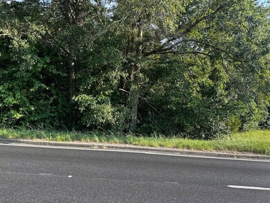 1.86 ac Highway 82 Cherry St, Ty Ty, GA 31795 - photo 5