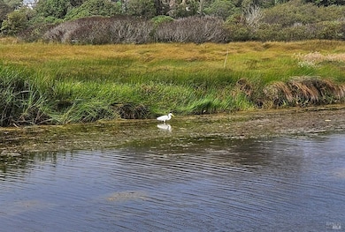145 Bean Ave, Bodega Bay, CA 94923 - photo 4