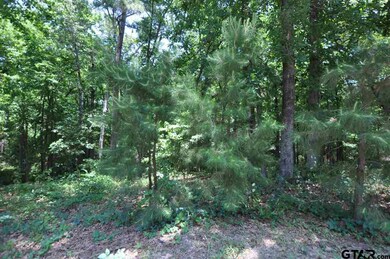 4005 Stonegate Blvd, Tyler, TX 75703 - photo 4