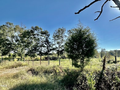 Lot 1 Jones Rd, Hurdle Mills, NC 27541 - photo 3