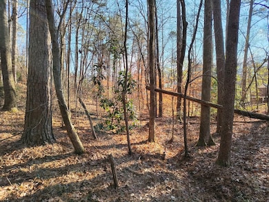 000 Bishop Trail, Rocky Face, GA 30740 - photo 3