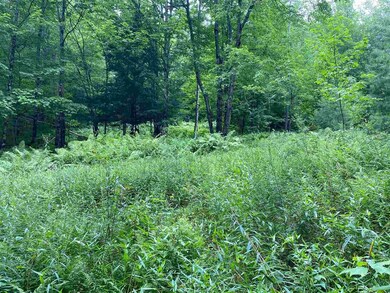 Lot 3 Tac Heights, Moretown, VT 05660 - photo 6