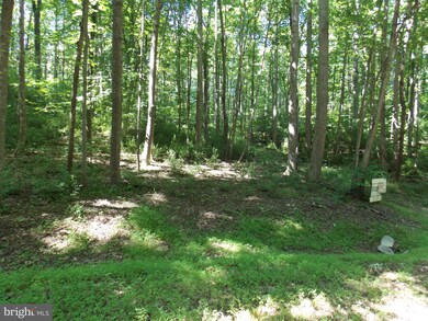 0 Lime Kiln Rd unit VALO386896, Middleburg, VA 20117 - photo 5