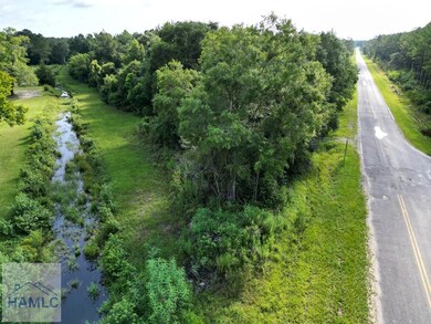 00 Hodges Rd, Hinesville, GA 31313 - photo 4