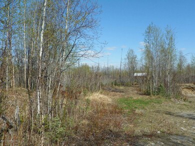 2811 S Walnut Wood Dr, Wasilla, AK 99654 - photo 6