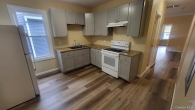Kitchen featuring gray cabinets, white appliances, dark wood-type flooring, and under cabinet range hood