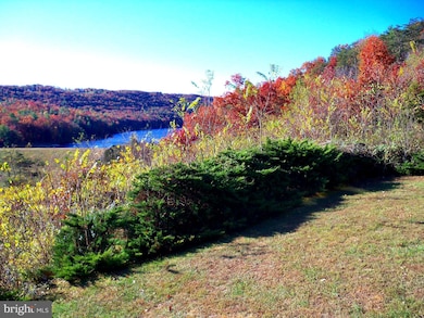 30 The Hill Rd unit L-30, Basye, VA 22810 - photo 7