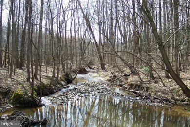 0 Chapmans Landing Rd unit 1000076425, Indian Head, MD 20640 - photo 3