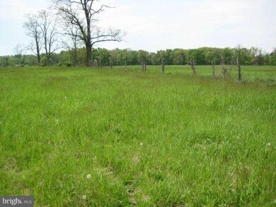 0 Dominion Rd unit 1003508820, Gerrardstown, WV 25420 - photo 7